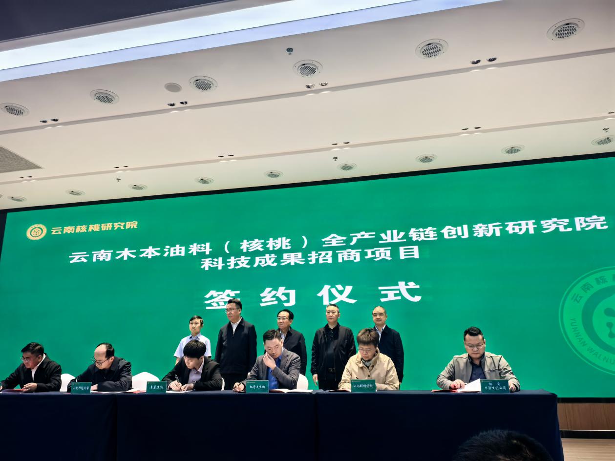 图片01.jpg